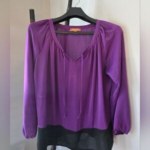 Ellen Tracy Purple and Black Blouse